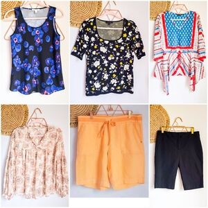 Hugo Boss, Tolani, Ann Taylor, Nic+Zoe, Top Shorts Lot Bundle, Size Small 6